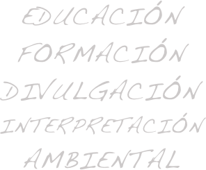 educación
FORMACión
divulgación
interpretación
ambiental